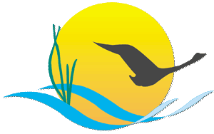 Chesapeake Bay Program